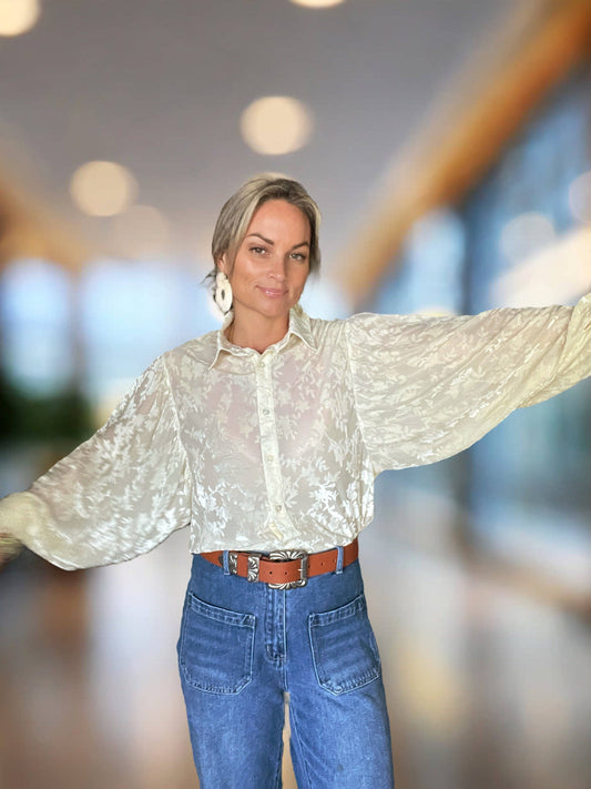 Ivory Burnout Velvet Mesh Balloon Sleeve Button Up Blouse