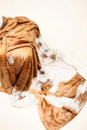 Cozy Dreams Plush Sherpa Blanket