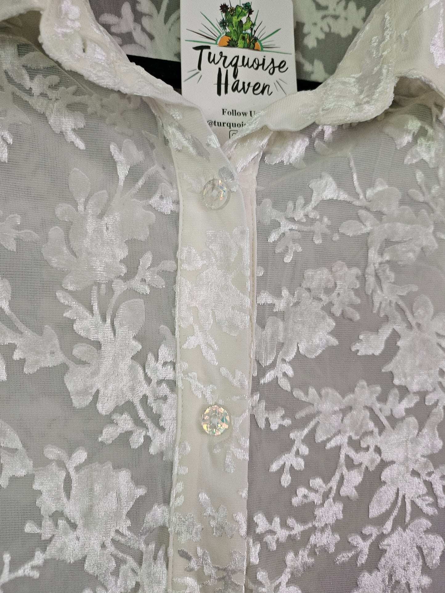 Ivory Burnout Velvet Mesh Balloon Sleeve Button Up Blouse